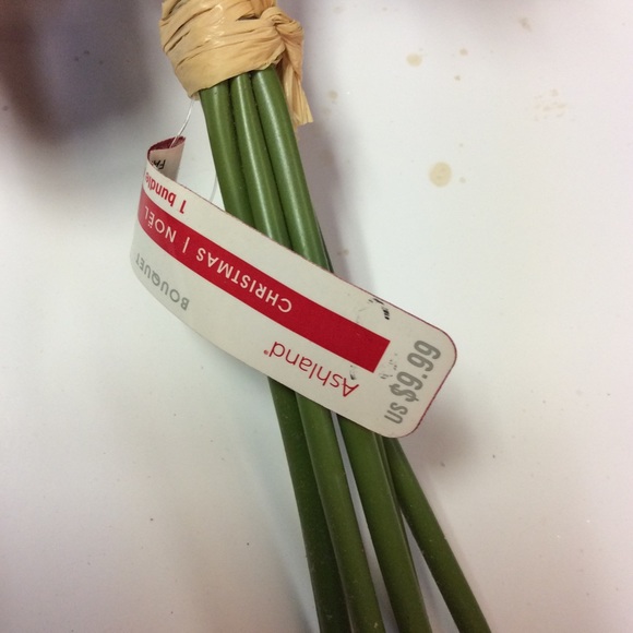 Ashland Christmas #3 Red Frosted Roses Bouquet - Picture 7 of 16